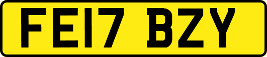 FE17BZY