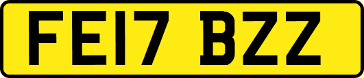FE17BZZ