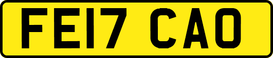 FE17CAO