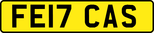 FE17CAS