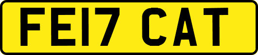 FE17CAT