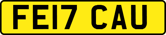 FE17CAU