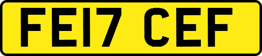 FE17CEF