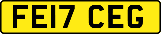 FE17CEG