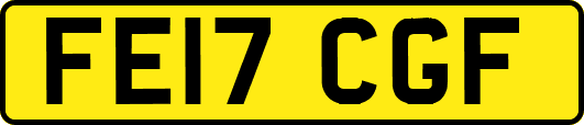 FE17CGF