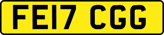 FE17CGG