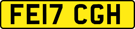 FE17CGH
