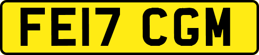 FE17CGM