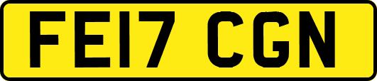 FE17CGN