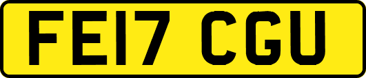 FE17CGU