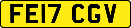 FE17CGV