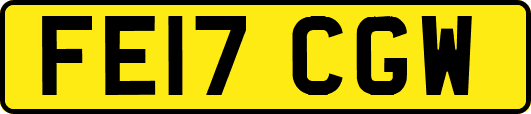 FE17CGW
