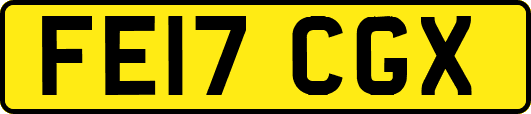 FE17CGX
