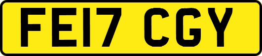 FE17CGY