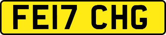 FE17CHG