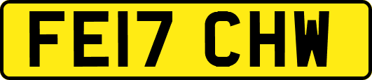 FE17CHW