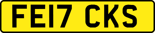 FE17CKS