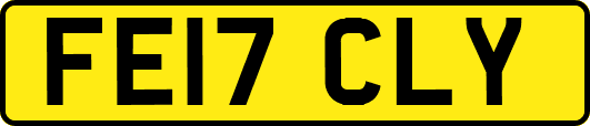 FE17CLY