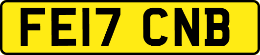 FE17CNB