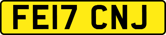 FE17CNJ