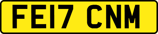 FE17CNM