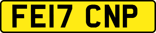 FE17CNP