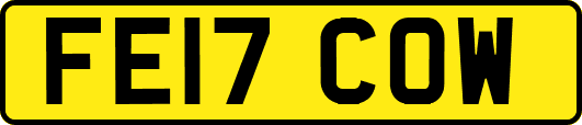 FE17COW