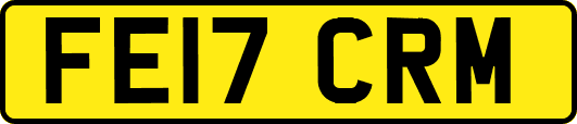 FE17CRM