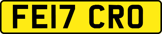 FE17CRO