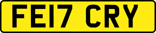 FE17CRY