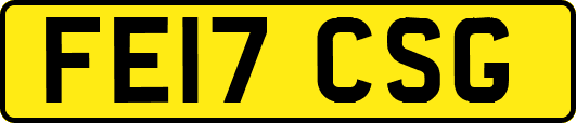 FE17CSG