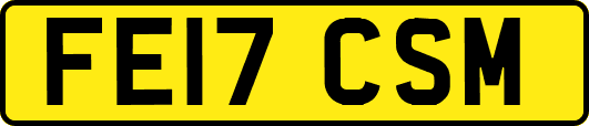 FE17CSM