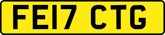 FE17CTG