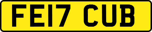 FE17CUB