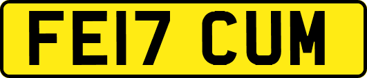 FE17CUM