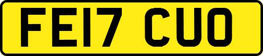 FE17CUO
