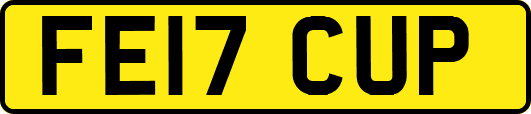 FE17CUP