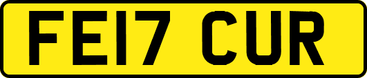 FE17CUR
