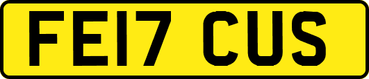 FE17CUS