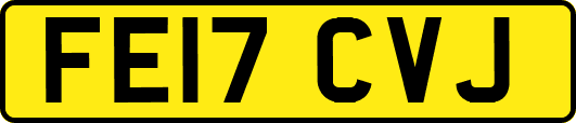 FE17CVJ