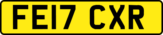 FE17CXR