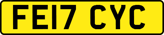 FE17CYC