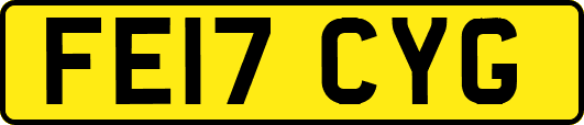 FE17CYG