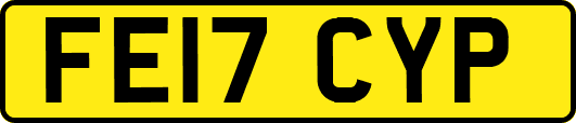 FE17CYP