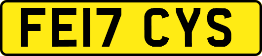 FE17CYS