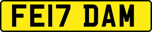 FE17DAM