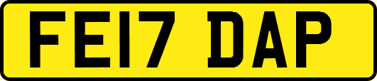 FE17DAP