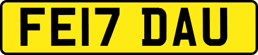 FE17DAU