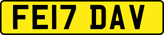FE17DAV