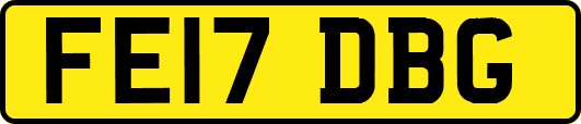 FE17DBG